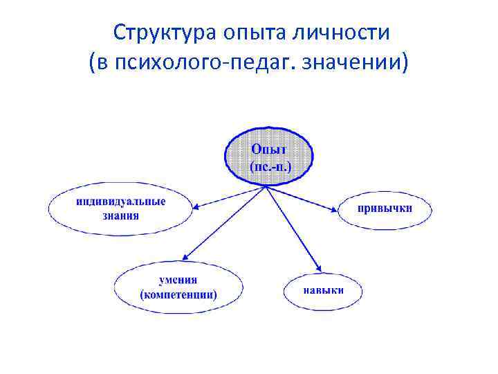 Структура опыта личности (в психолого-педаг. значении) 