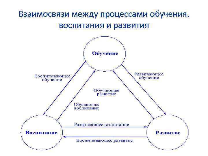 Взаимосвязи между процессами обучения, воспитания и развития 