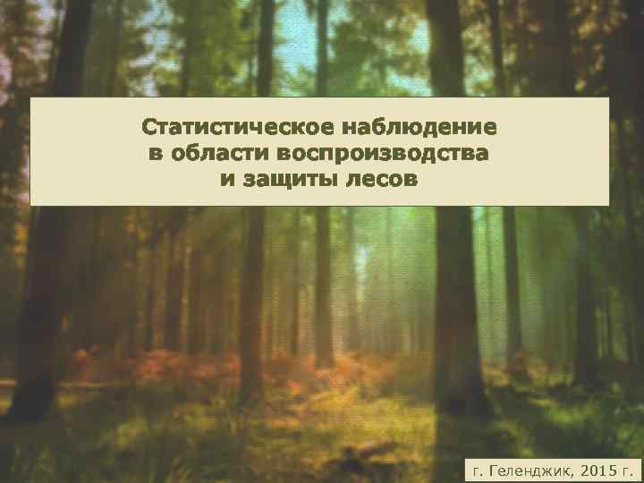 Статистическое наблюдение в области воспроизводства и защиты лесов г. Геленджик, 2015 г. 