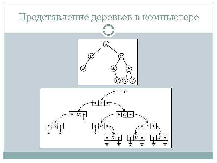 Представление деревьев в компьютере 