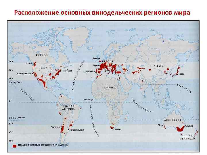 Расположение основных винодельческих регионов мира 