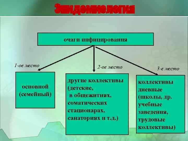 Эпидемиология очаги инфицирования 1 -ое место основной (семейный) 2 -ое место другие коллективы (детские,