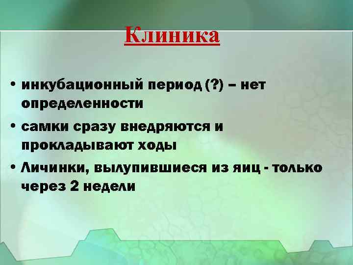 Клиника • инкубационный период (? ) – нет определенности • самки сразу внедряются и