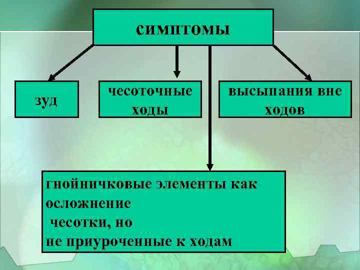 симптомы зуд чесоточные ходы высыпания вне ходов гнойничковые элементы как осложнение чесотки, но не