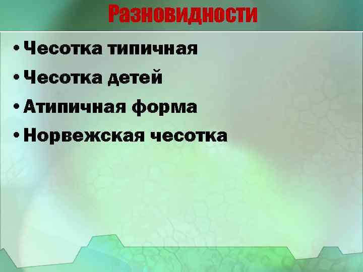 Разновидности • Чесотка типичная • Чесотка детей • Атипичная форма • Норвежская чесотка 