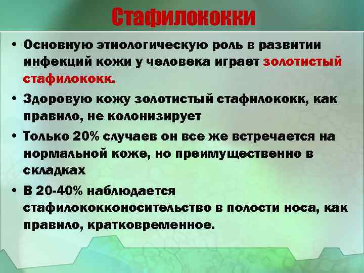 Стафилококки • Основную этиологическую роль в развитии инфекций кожи у человека играет золотистый стафилококк.