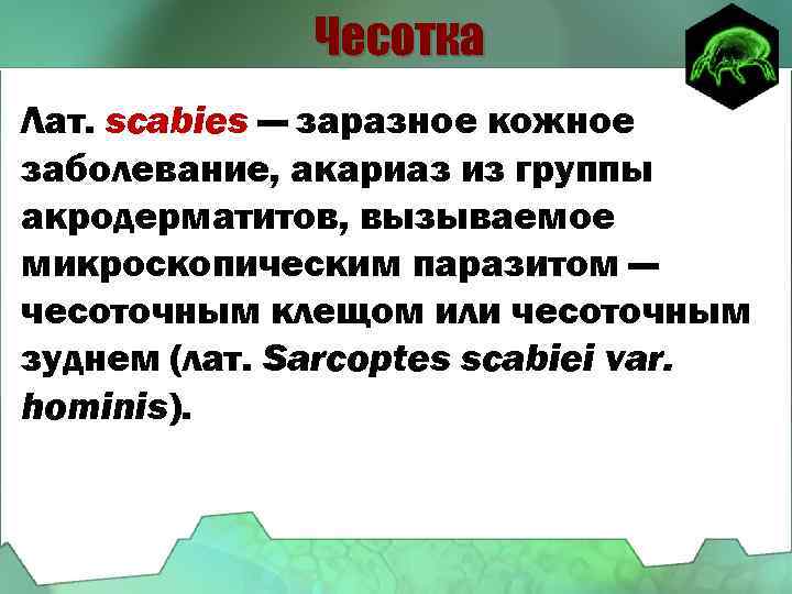 Чесотка Лат. scabies — заразное кожное заболевание, акариаз из группы акродерматитов, вызываемое микроскопическим паразитом