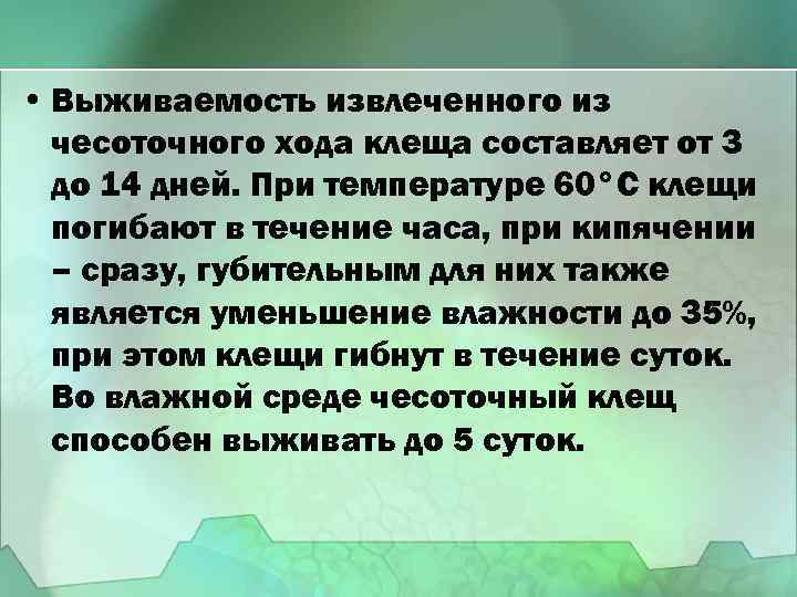  • Выживаемость извлеченного из чесоточного хода клеща составляет от 3 до 14 дней.