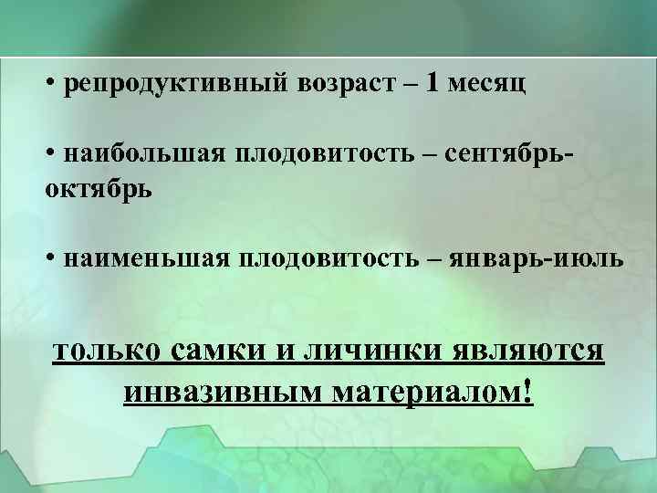  • репродуктивный возраст – 1 месяц • наибольшая плодовитость – сентябрьоктябрь • наименьшая