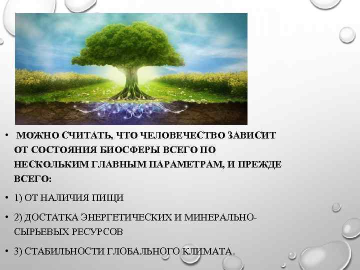  • МОЖНО СЧИТАТЬ, ЧТО ЧЕЛОВЕЧЕСТВО ЗАВИСИТ ОТ СОСТОЯНИЯ БИОСФЕРЫ ВСЕГО ПО НЕСКОЛЬКИМ ГЛАВНЫМ