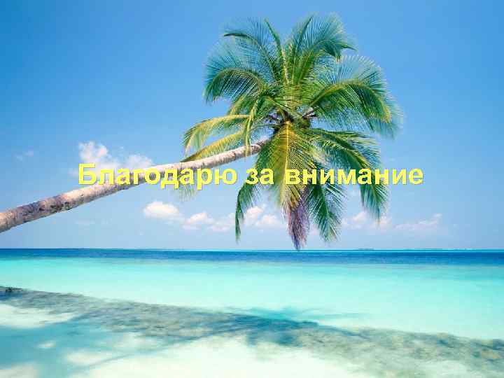 Благодарю за внимание 