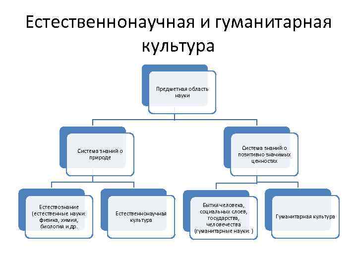 Культура система знаний