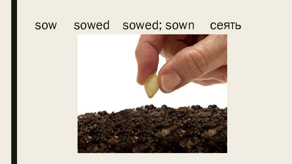 sow sowed; sown сеять 