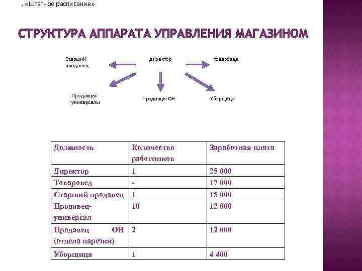 . «Штатное расписание» СТРУКТУРА АППАРАТА УПРАВЛЕНИЯ МАГАЗИНОМ Старший продавец директор Продавцыуниверсалы Продавцы ОН товаровед