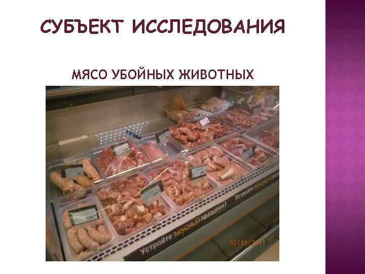 СУБЪЕКТ ИССЛЕДОВАНИЯ МЯСО УБОЙНЫХ ЖИВОТНЫХ 