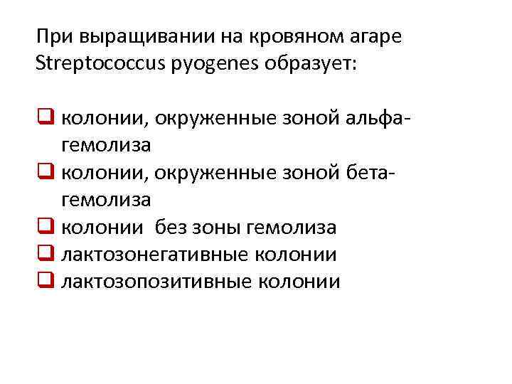 При выращивании на кровяном агаре Streptococcus pyogenes образует: q колонии, окруженные зоной альфагемолиза q