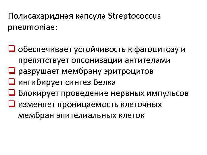 Полисахаридная капсула Streptococcus pneumoniae: q обеспечивает устойчивость к фагоцитозу и препятствует опсонизации антителами q