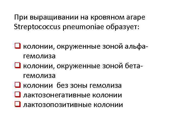При выращивании на кровяном агаре Streptococcus pneumoniae образует: q колонии, окруженные зоной альфагемолиза q