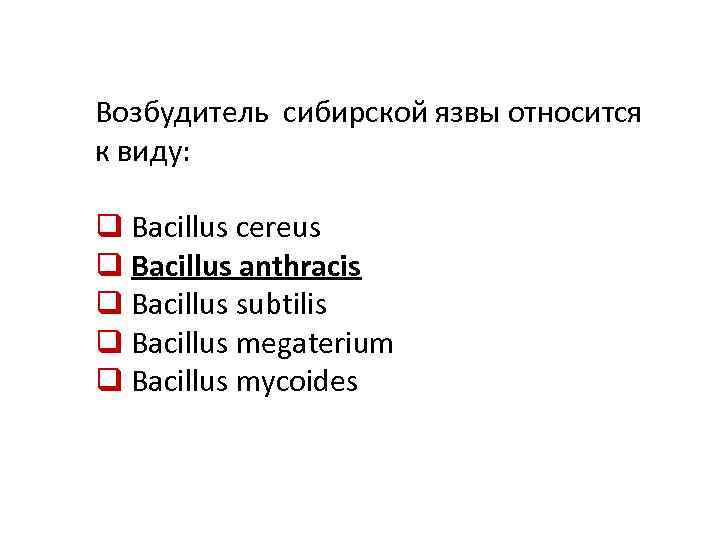 Возбудитель сибирской язвы относится к виду: q Bacillus cereus q Bacillus anthracis q Bacillus