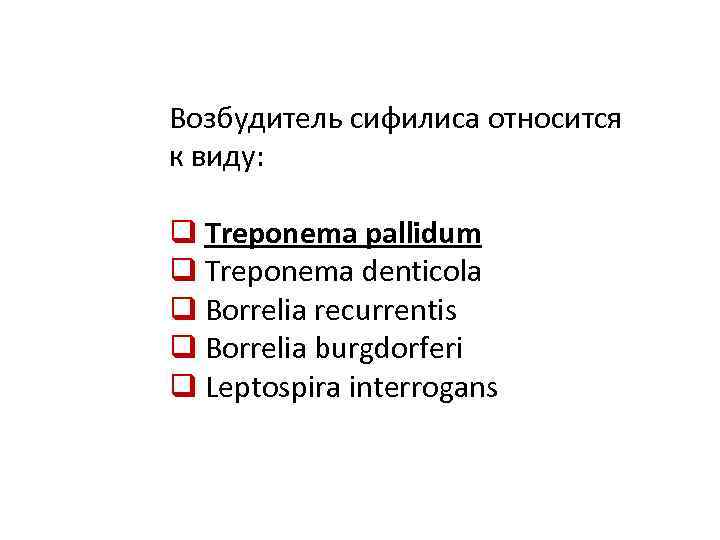 Возбудитель сифилиса относится к виду: q Treponema pallidum q Treponema denticola q Borrelia recurrentis