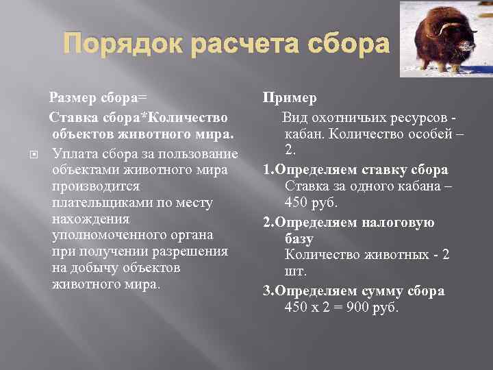 Порядок расчета сбора Размер сбора= Ставка сбора*Количество объектов животного мира. Уплата сбора за пользование