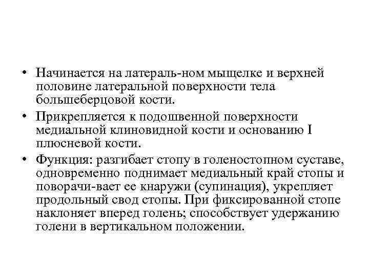  • Начинается на латераль ном мыщелке и верхней половине латеральной поверхности тела большеберцовой