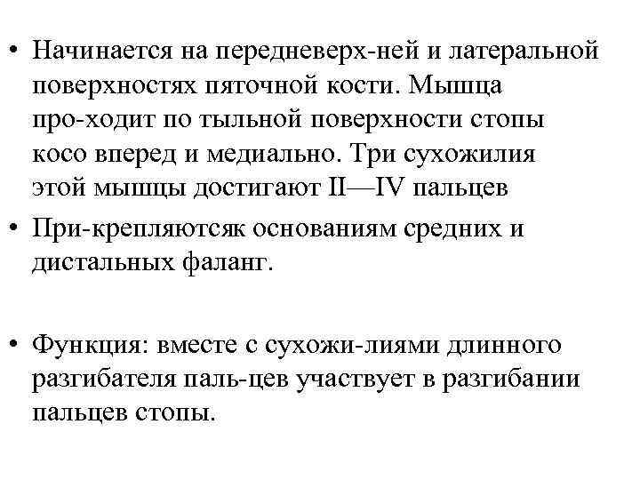  • Начинается на передневерх ней и латеральной поверхностях пяточной кости. Мышца про ходит