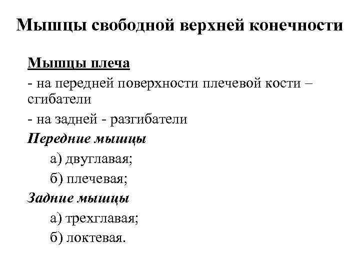 Мышцы свободной верхней конечности Мышцы плеча на передней поверхности плечевой кости – сгибатели на