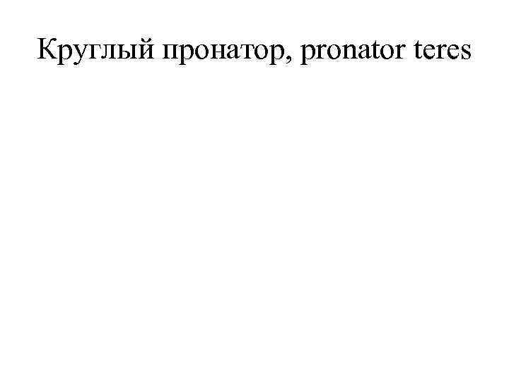 Круглый пронатор, pronator teres 