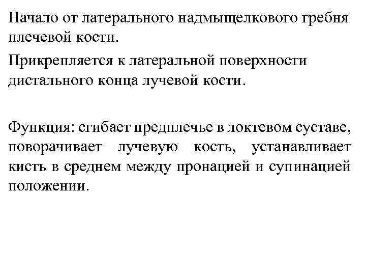 Начало от латерального надмыщелкового гребня плечевой кости. Прикрепляется к латеральной поверхности дистального конца лучевой