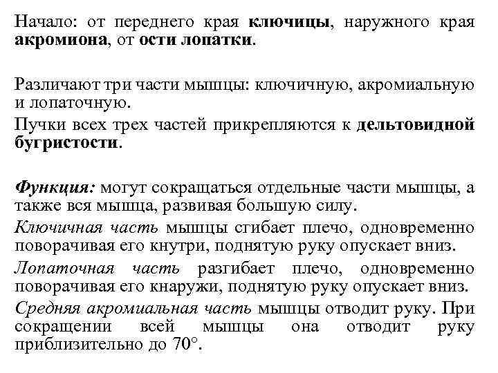 Начало: от переднего края ключицы, наружного края акромиона, от ости лопатки. Различают три части