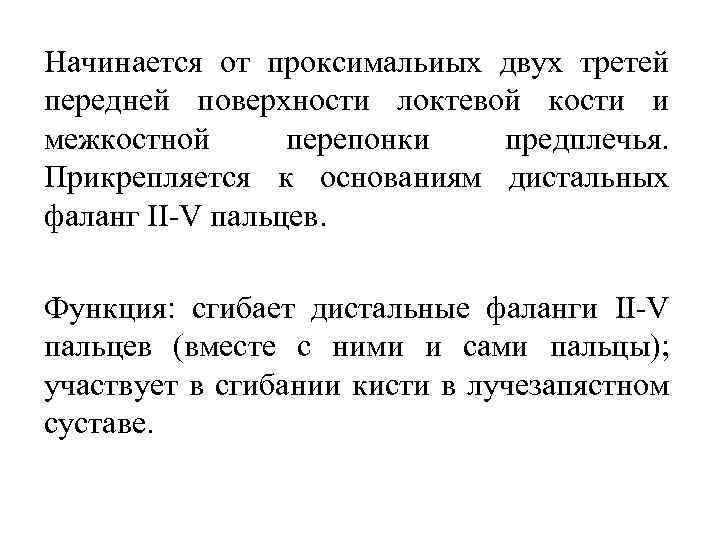 Начинается от проксимальиых двух третей передней поверхности локтевой кости и межкостной перепонки предплечья. Прикрепляется