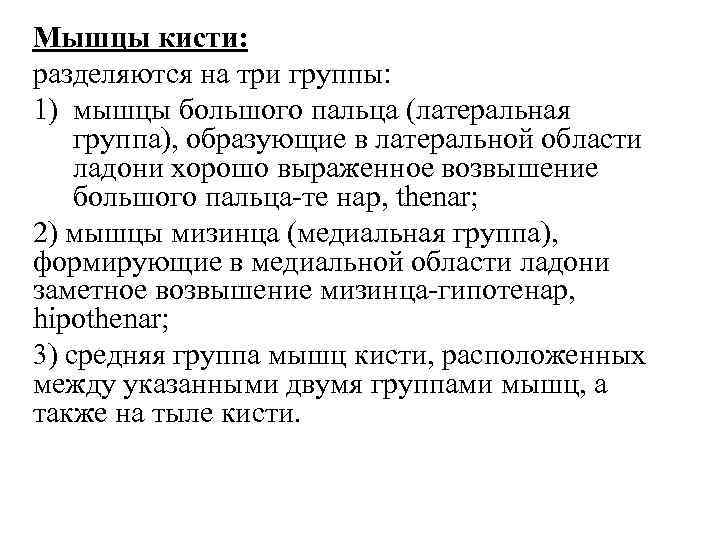 Мышцы кисти: разделяются на три группы: 1) мышцы большого пальца (латеральная группа), образующие в