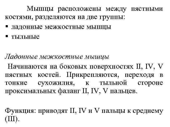  Мышцы расположены между пястными костями, разделяются на две группы: § ладонные межкостные мышцы