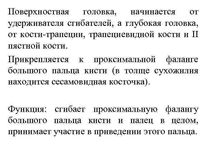 Поверхностная головка, начинается от удерживателя сгибателей, а глубокая головка, от кости трапеции, трапециевидной кости