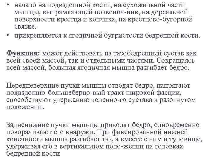  • начало на подвздошной кости, на сухожильной части мышцы, выпрямляющей позвоноч ник, на