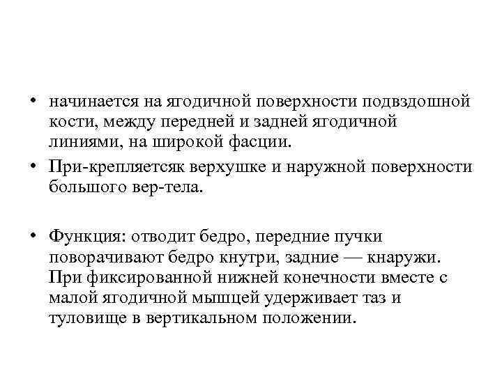  • начинается на ягодичной поверхности подвздошной кости, между передней и задней ягодичной линиями,