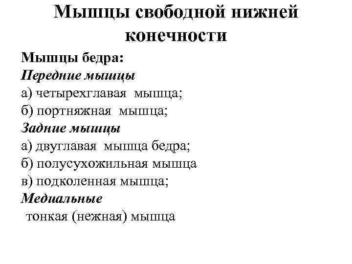 Мышцы свободной нижней конечности Мышцы бедра: Передние мышцы а) четырехглавая мышца; б) портняжная мышца;