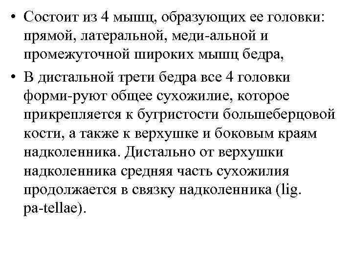  • Состоит из 4 мышц, образующих ее головки: прямой, латеральной, меди альной и