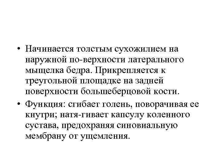  • Начинается толстым сухожилием на наружной по верхности латерального мыщелка бедра. Прикрепляется к