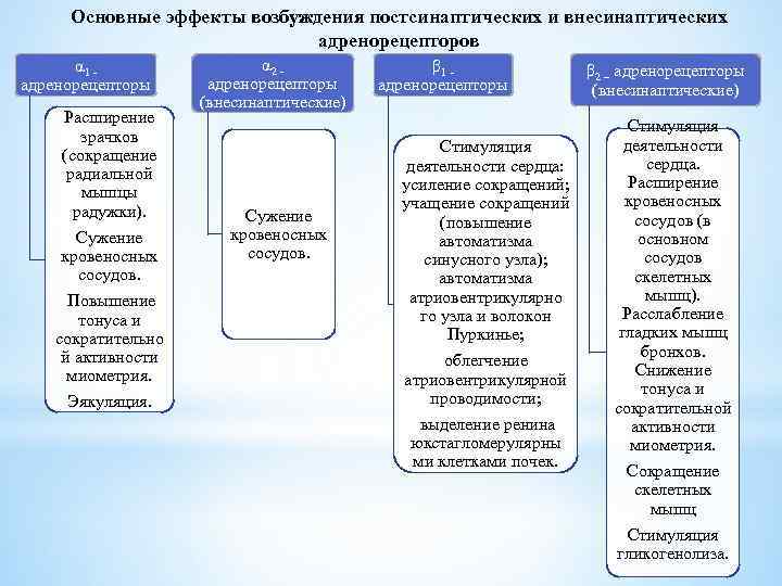 Основные эффекты возбуждения постсинаптических и внесинаптических адренорецепторов α 1 адренорецепторы Расширение зрачков (сокращение радиальной