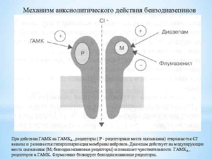 Механизм анксиолитического действия бензодиазепинов При действии ГАМК на ГАМКА – рецепторы ( Р -