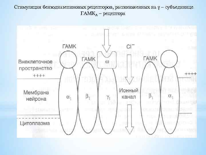 Стимуляция бензодиазепиновых рецепторов, расположенных на γ – субъединице ГАМКА – рецептора 