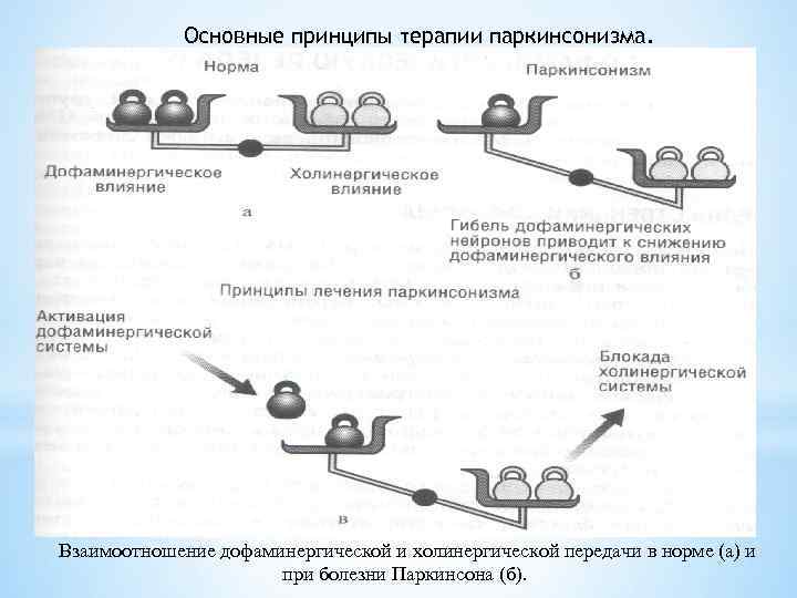Основные принципы терапии паркинсонизма. Взаимоотношение дофаминергической и холинергической передачи в норме (а) и при