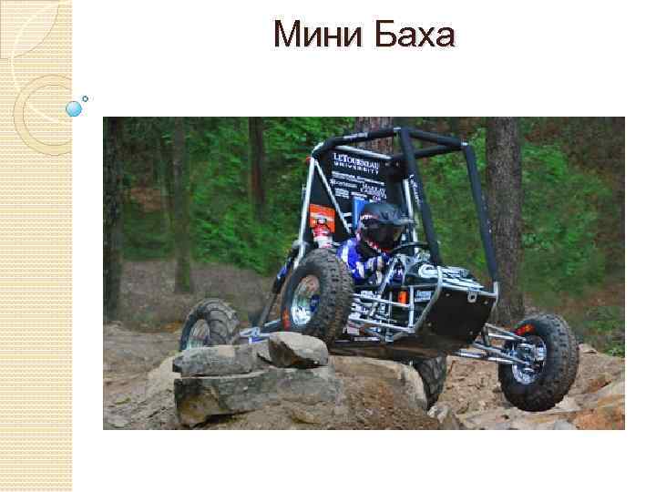 Мини Баха 