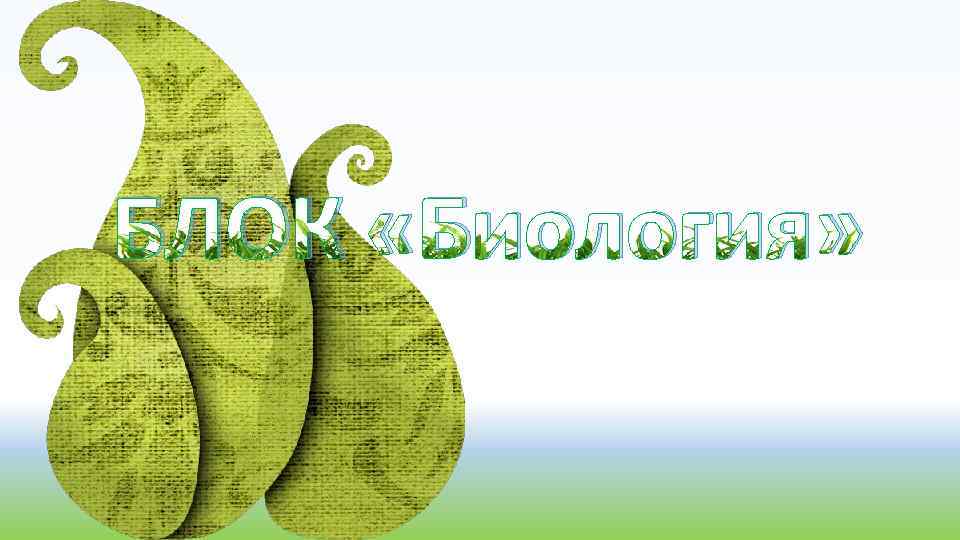БЛОК «Биология» 