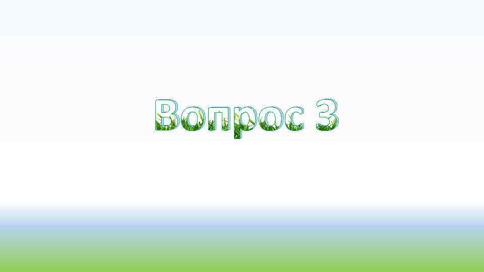 Вопрос 3 