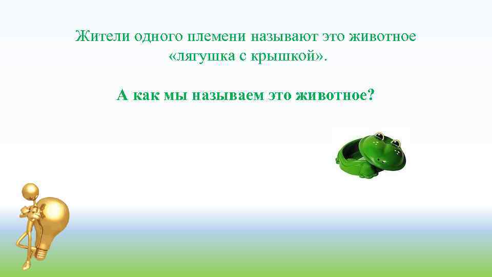 Жители одного племени называют это животное «лягушка с крышкой» . А как мы называем