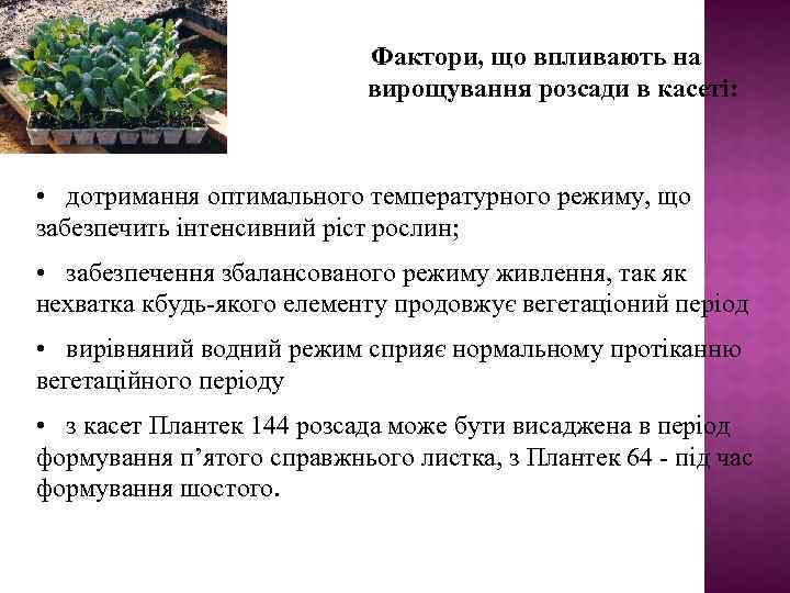 Фактори, що впливають на вирощування розсади в касеті: • дотримання оптимального температурного режиму, що