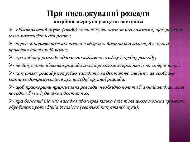 При висаджуванні розсади потрібно звернути увагу на наступне: - підготовлений ґрунт (гряди) повинні бути